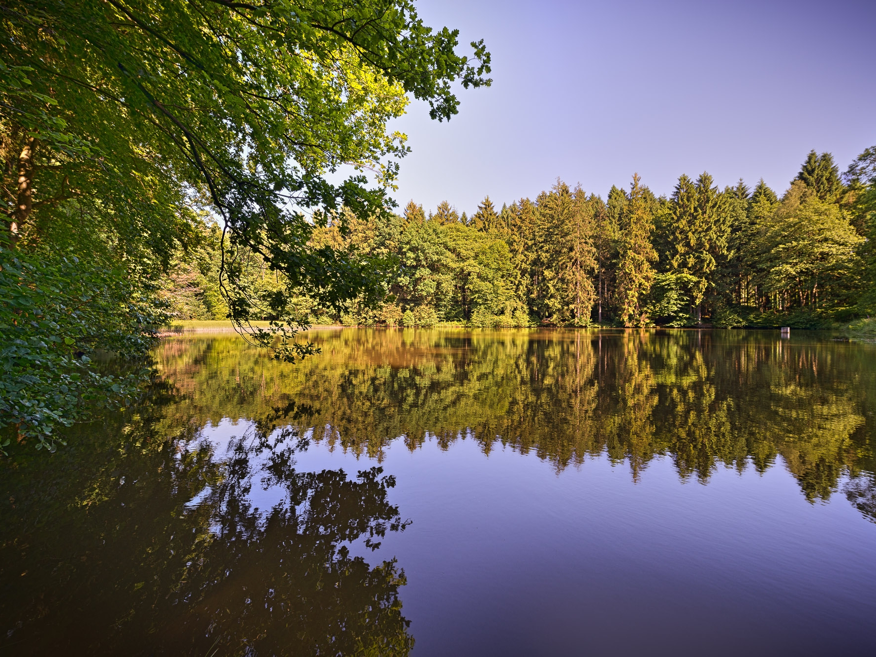 © Achim Meurer, Höhr Grenzhausen Natur, Landshuber Weiher, Westerwald, Wandern, Wald