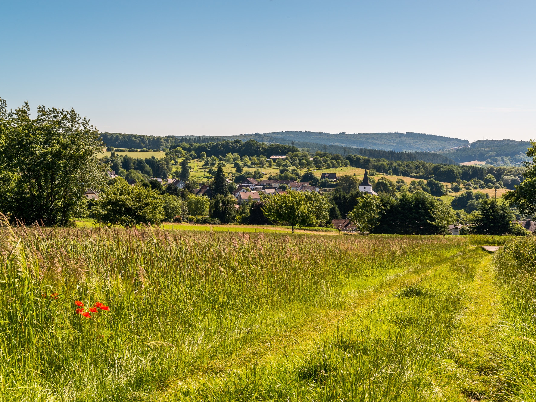 Höhr Grenzhausen. Natur, Westerwald, Wald und Wiesen