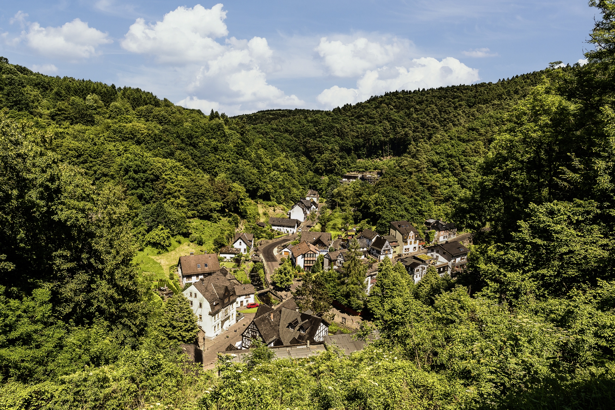 grenzhausen, grenzau, wald, natur, kannenbäckerland, westerwald, naturkulturkeramik, wandern