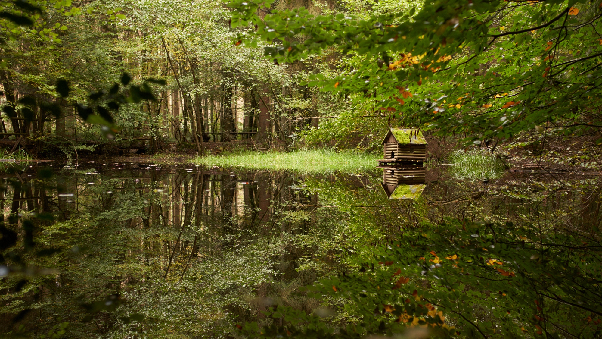 see, schwarzes meer, natur, natur-kultur-keramik, höhr-grenzhausen, spiegelung