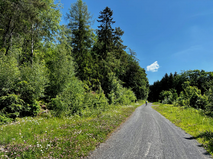 Feiner Schotterweg im Hillscheider Wald