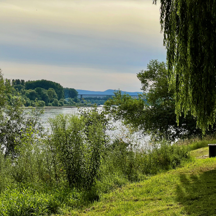 Am Rhein bei Bendorf