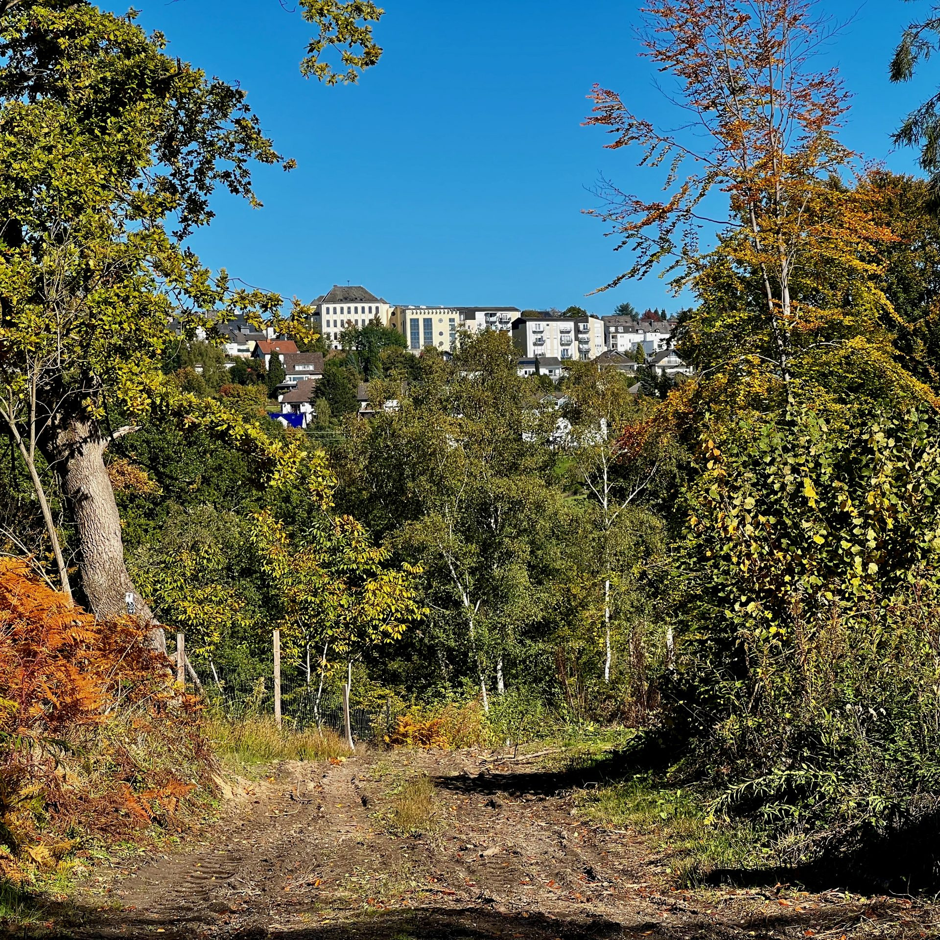 Ein Blick zurück auf Grenzhausen