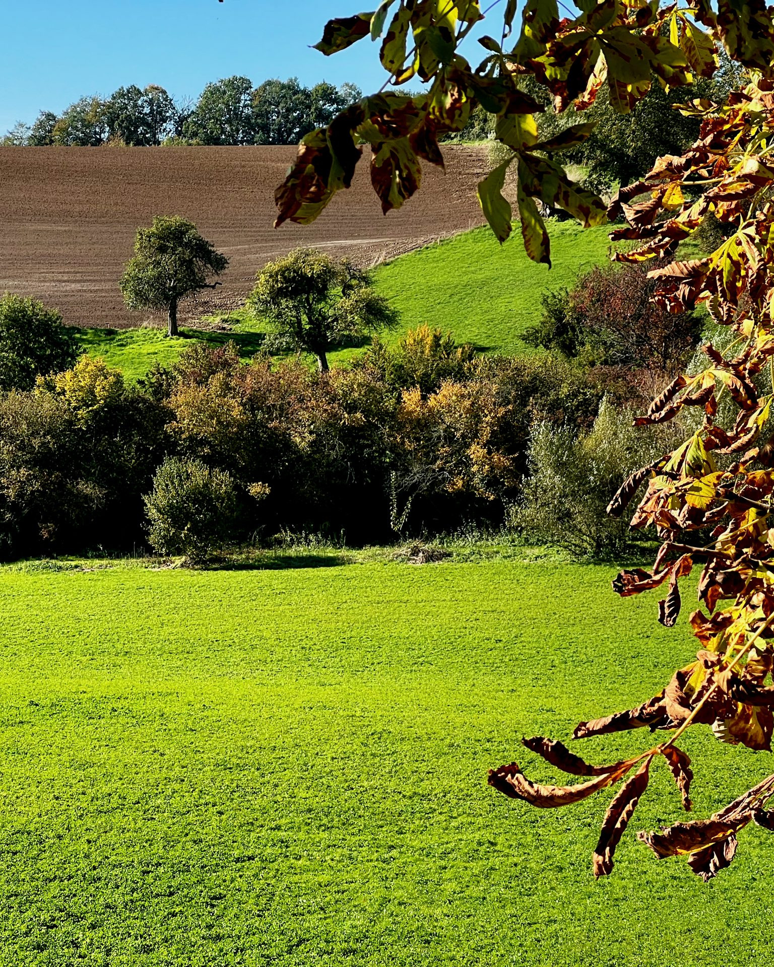 Der Herbst kommt so langsam