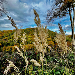 Das Kannenbäckerland im Herbst