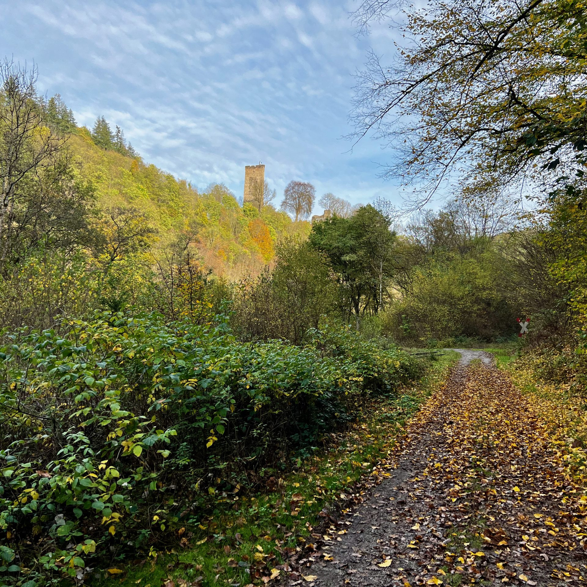 Im Brexbachtal angekommen, im Hintergrund die Burg Grenzau