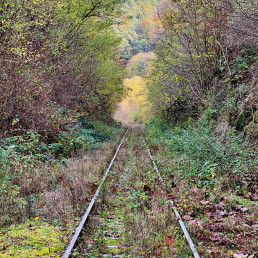Die Brex, aktuell noch stillgelegte Bahnstrecke zwischen Grenzau und Bendorf