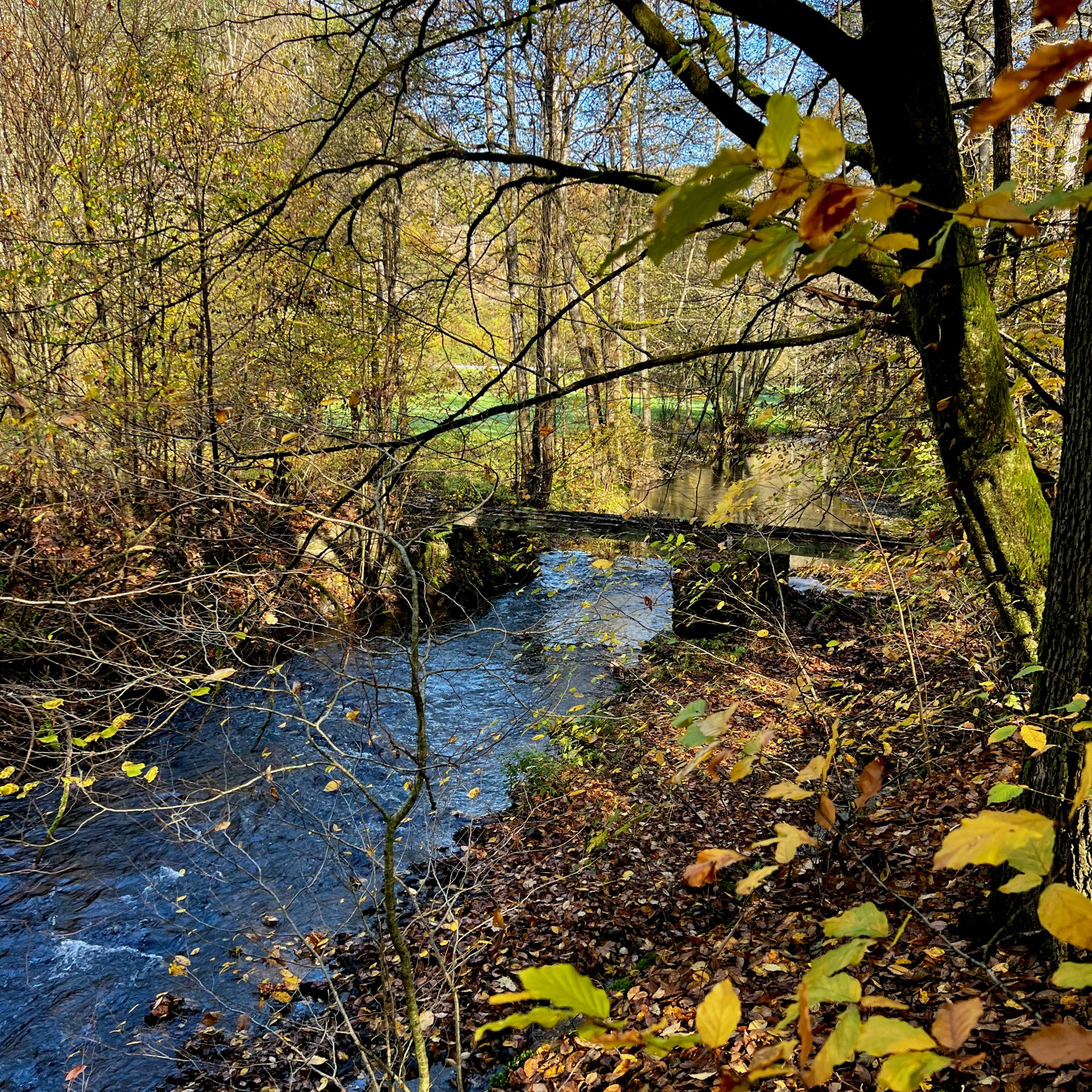 Brücke in Sicht