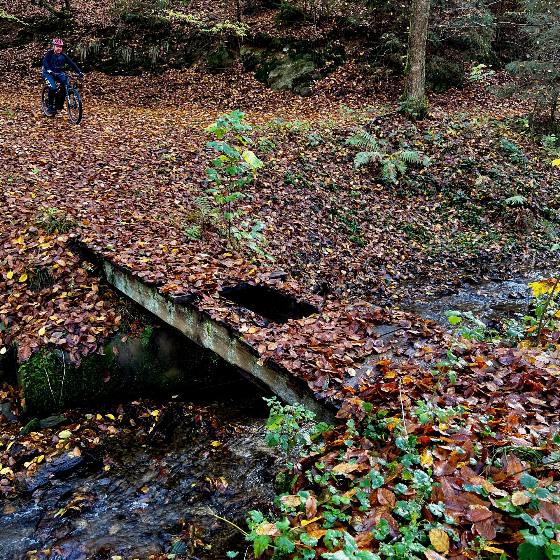 Und die Brücke über den Sessenbach? Mit Anlauf könnte es funktionieren.