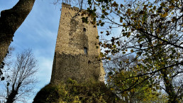 Burg Grenzau