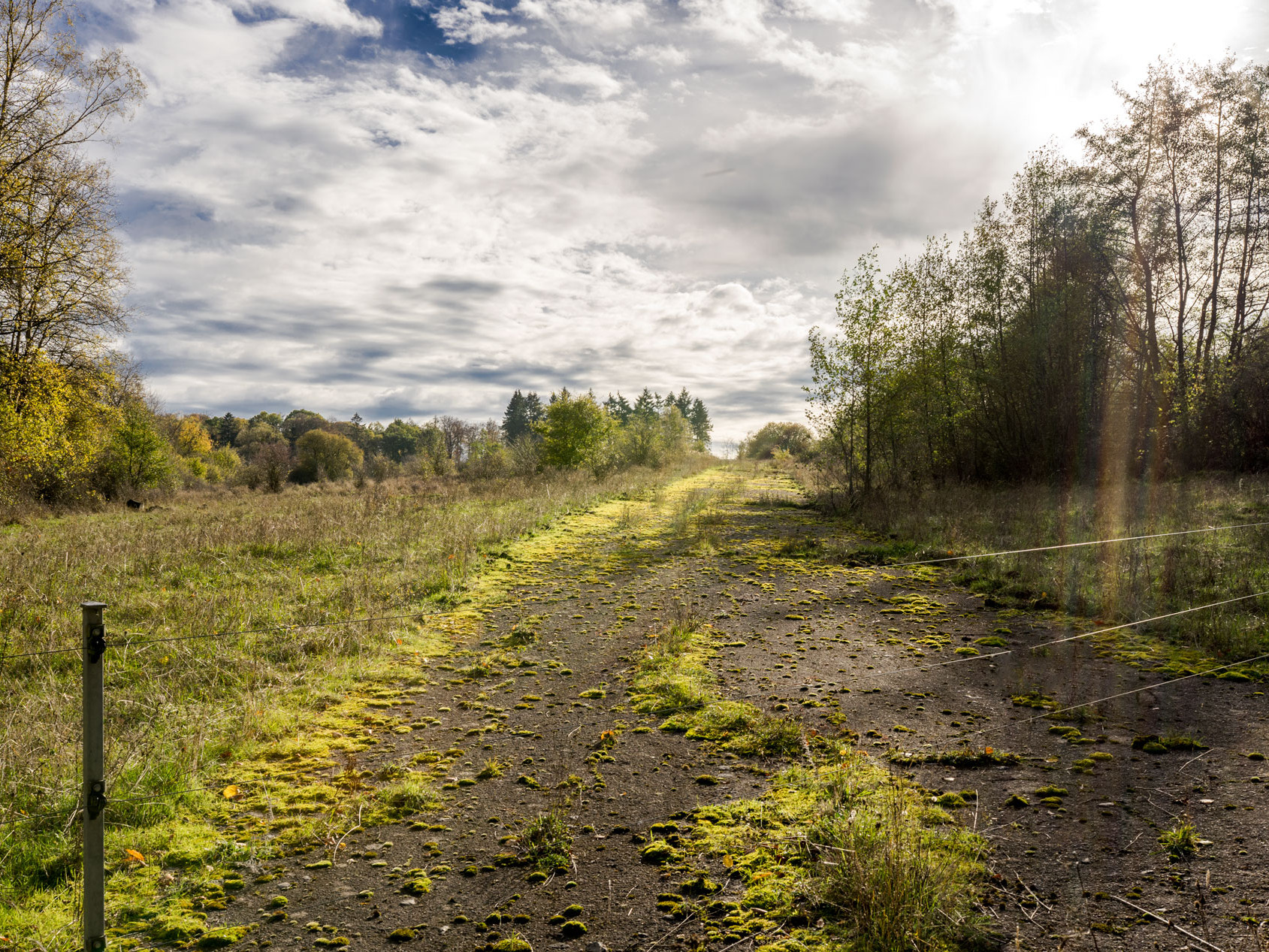 Wanderung imNaturschutzgebiet Schmidtenhöhe
